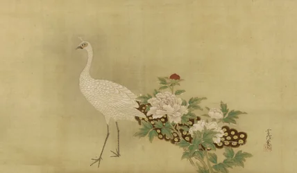 Witte Pauw en Pioenen, Edo-periode, midden 17e-begin 18e eeuw